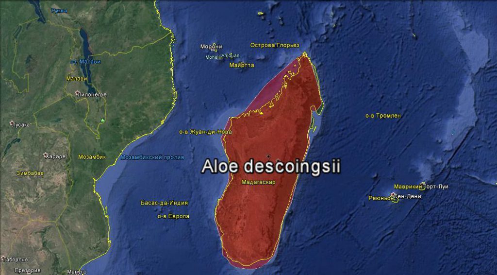 Ареал распространения Aloe descoingsii в дикой природе